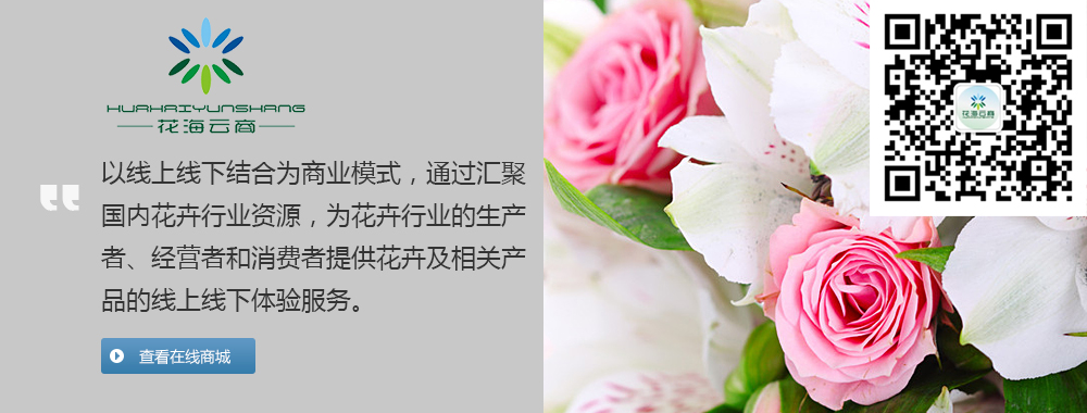 以线上线下结合为商业模式，通过汇聚国内花卉行业资源，为花卉行业的生产者、经营者和消费者提供花卉及相关产品的线上线下体验服务。